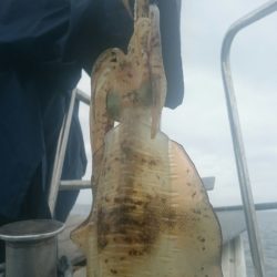 シースナイパー海龍 釣果