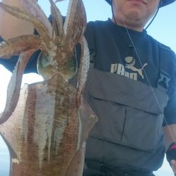 シースナイパー海龍 釣果