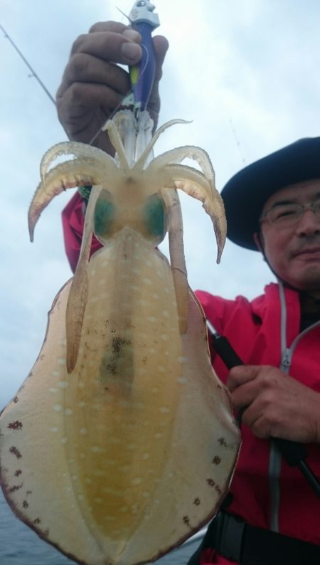 シースナイパー海龍 釣果