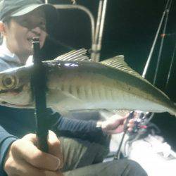 シースナイパー海龍 釣果