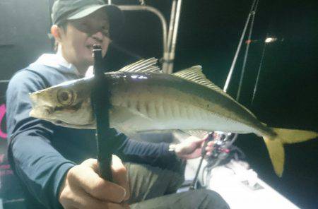 シースナイパー海龍 釣果