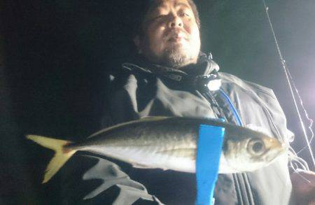 シースナイパー海龍 釣果