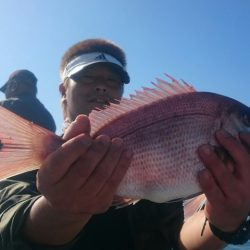 シースナイパー海龍 釣果