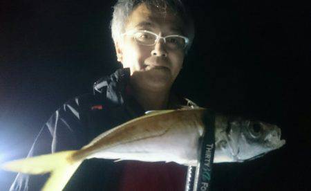 シースナイパー海龍 釣果