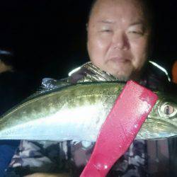 シースナイパー海龍 釣果