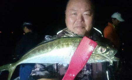 シースナイパー海龍 釣果
