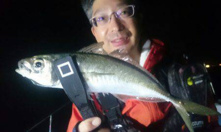 シースナイパー海龍 釣果