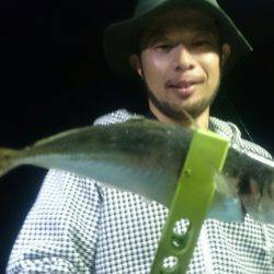 シースナイパー海龍 釣果