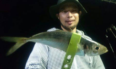 シースナイパー海龍 釣果