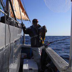 芳陽丸 釣果