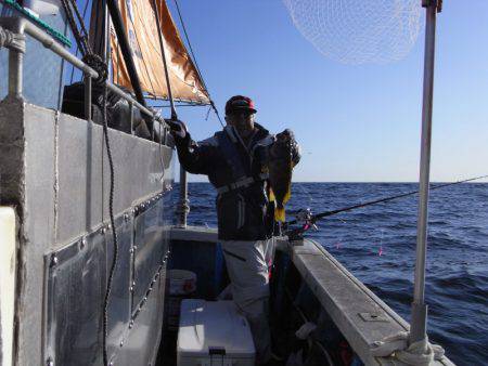 芳陽丸 釣果