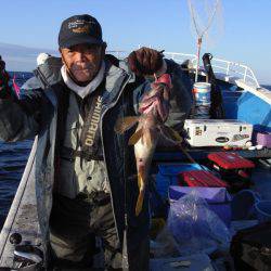 芳陽丸 釣果