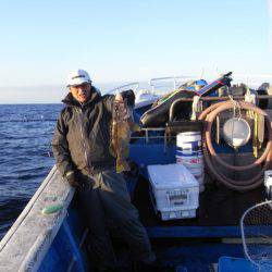 芳陽丸 釣果