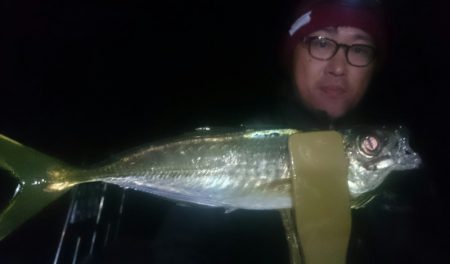 シースナイパー海龍 釣果