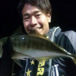 シースナイパー海龍 釣果