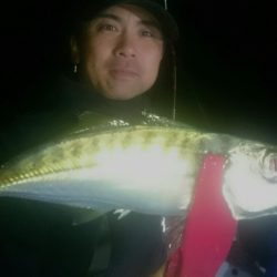 シースナイパー海龍 釣果