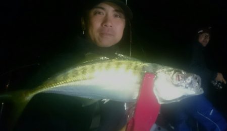 シースナイパー海龍 釣果