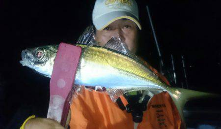 シースナイパー海龍 釣果