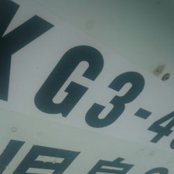 シースナイパー海龍 釣果