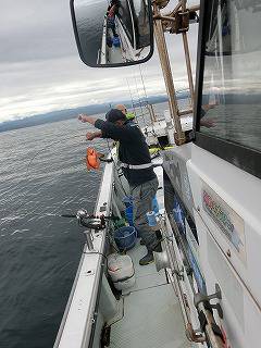 第二清洋丸 釣果