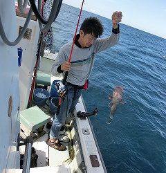 第二清洋丸 釣果