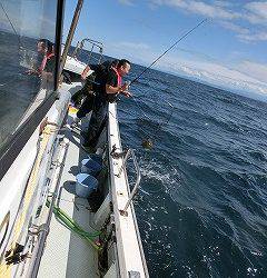 第二清洋丸 釣果