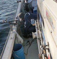 第二清洋丸 釣果