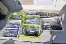 KIM Fishing Guide Ser…