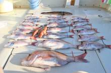 KIM Fishing Guide Ser…