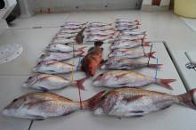 KIM Fishing Guide Service 釣果