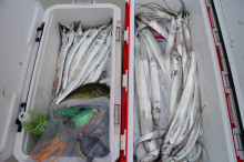 KIM Fishing Guide Ser…