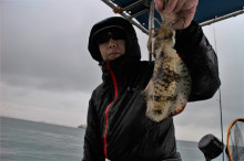 KIM Fishing Guide Ser…