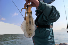 KIM Fishing Guide Service 釣果