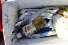 KIM Fishing Guide Service 釣果