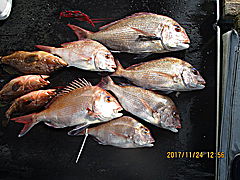 遊漁船 未紗奈 釣果