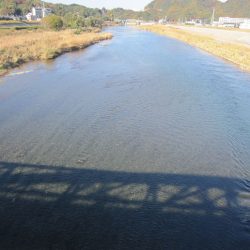 狩野川（狩野川漁業協同組合） 釣果