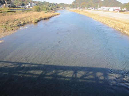狩野川（狩野川漁業協同組合） 釣果