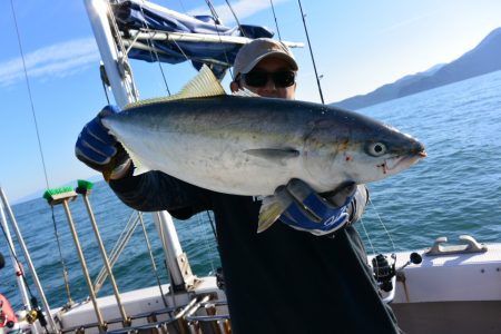 ジギング船 BLUEWATER 釣果