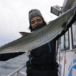 ジギング船 BLUEWATER 釣果