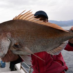 ジギング船 BLUEWATER 釣果