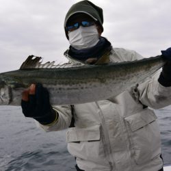 ジギング船 BLUEWATER 釣果