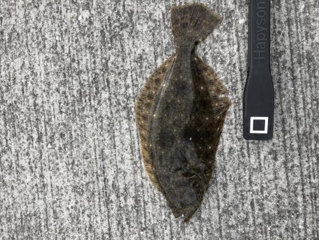 凄い風でした。