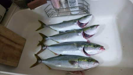 小雨がパラパラの中...