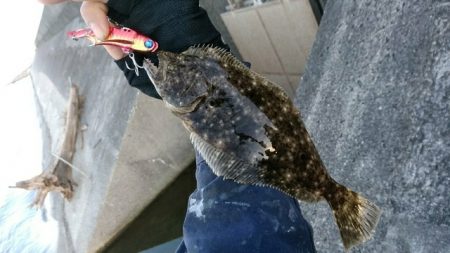 河口フィッシング