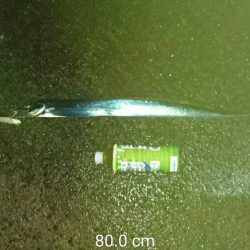 初めてのポイントで