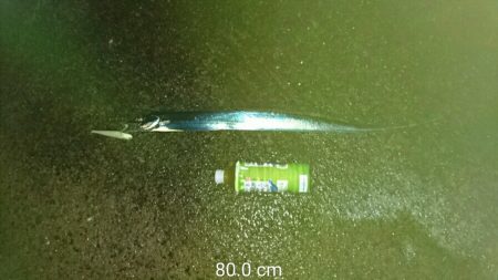 初めてのポイントで