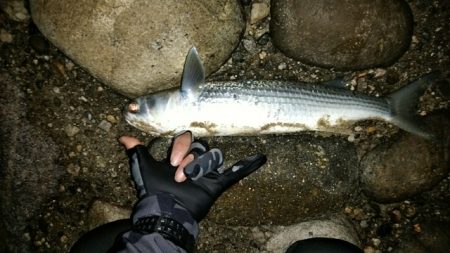 ジギング＆ライトゲーム