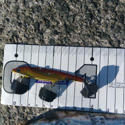 ケーソンで初の釣果