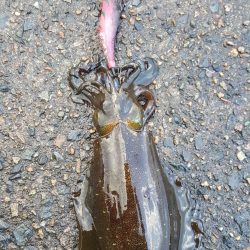 20171123曇雨晴霙