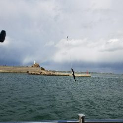 久々にヤツを釣る！！